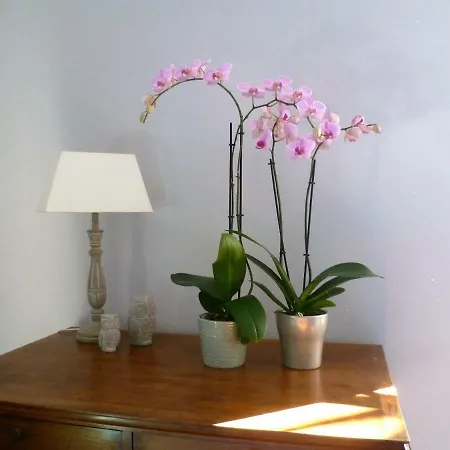 D'hotes Le Vignaud Hotel