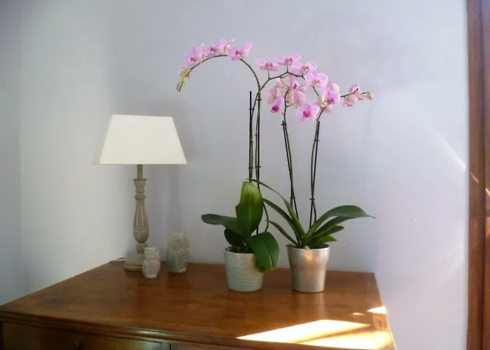 D'hotes Le Vignaud Hotel